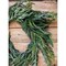 24” Iced Garden Norfolk Pine Wreath Elegant Frosted Holiday Decoration